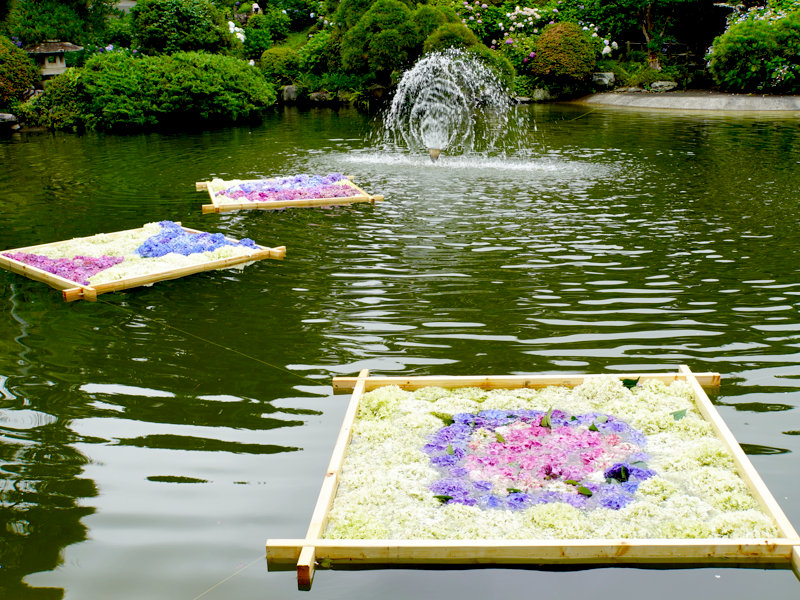 準特選「花筏の池」 準特選「花筏の池」