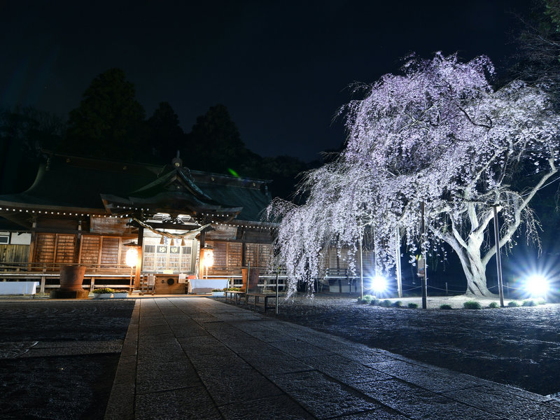 吉田神社
