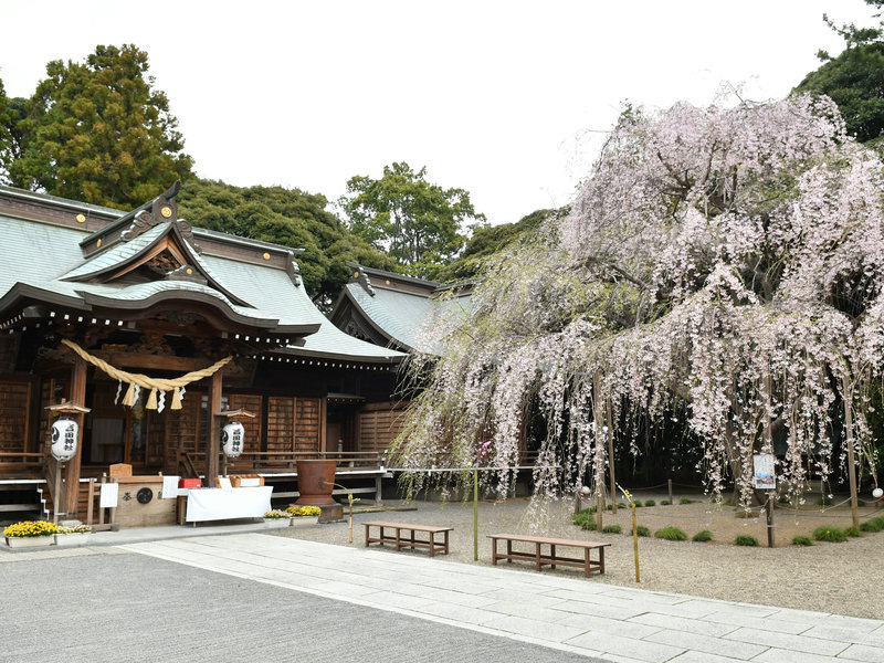 吉田神社