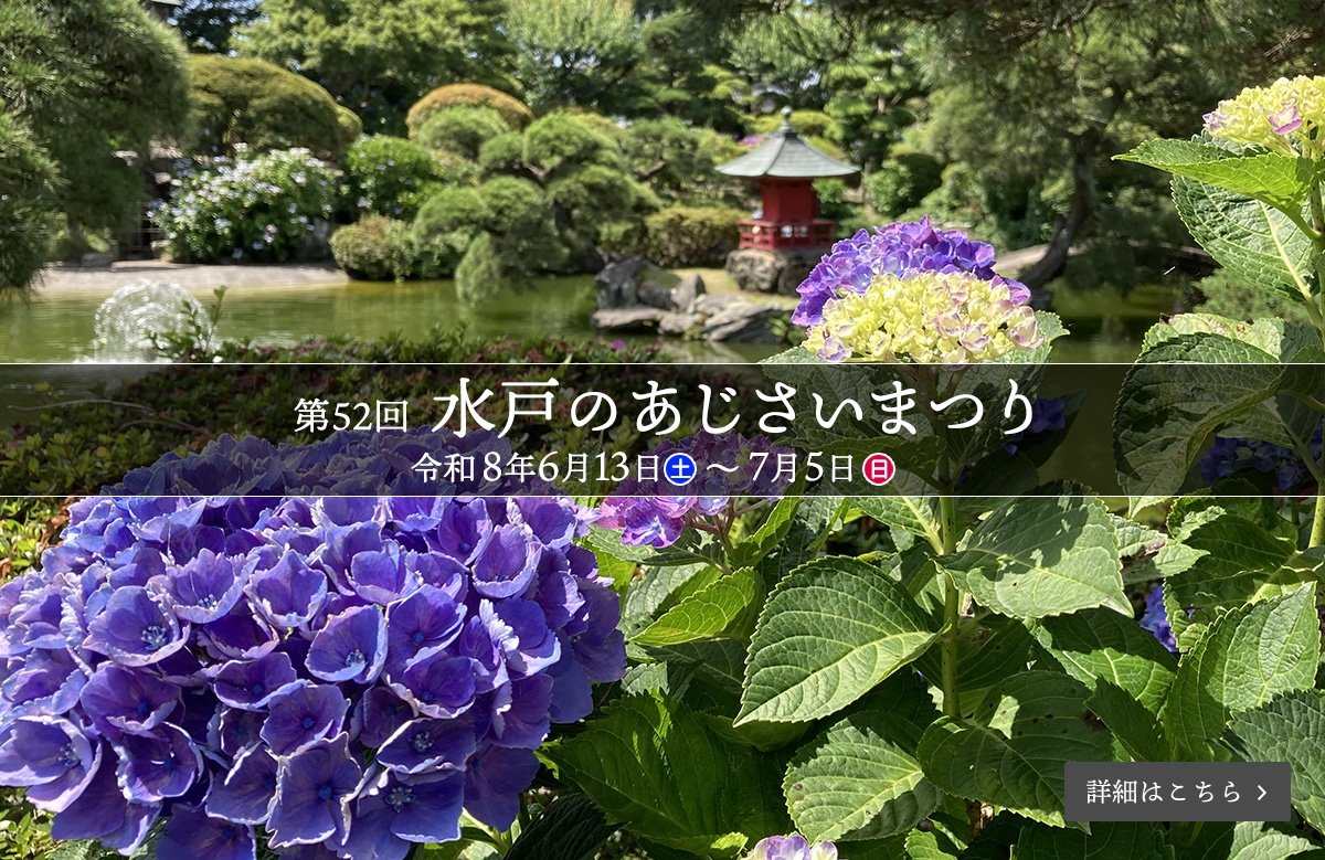 第52回水戸のあじさいまつり