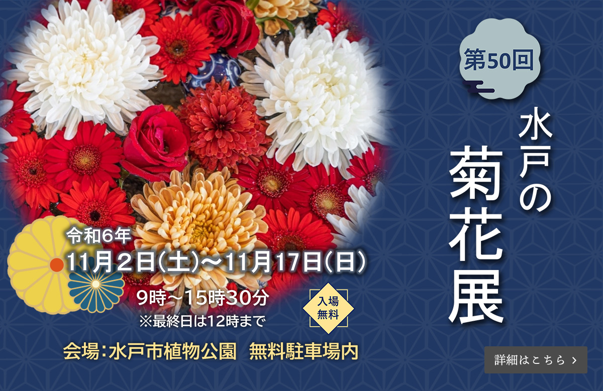 第50回水戸の菊花展（令和6年11月2日（土）～11月17日（日））